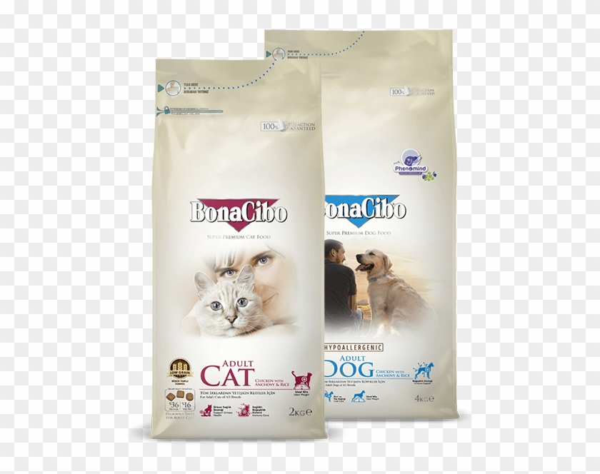 Bonacibo Clipart #5960469