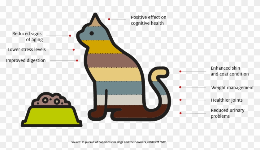 Some Behavioral Criteria Used To Assess Dog Food Performance - Cartoon Clipart