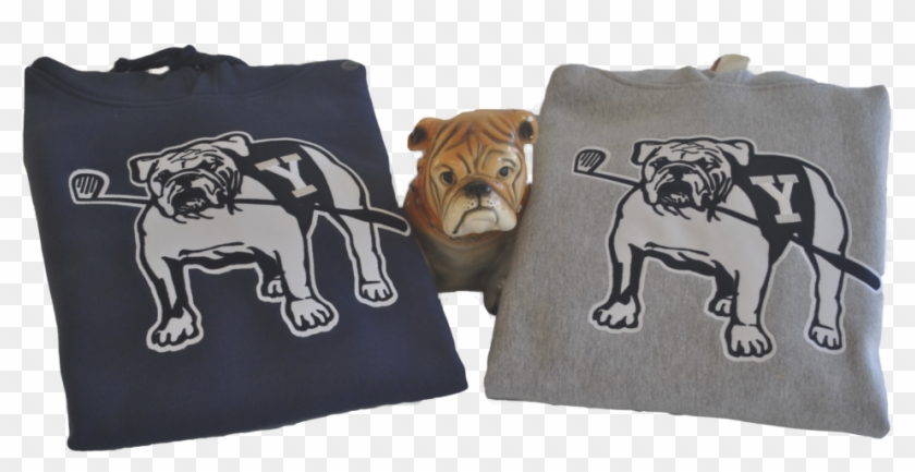 Mv Sport Bulldog Sweatshirt - Yale University Clipart #5962761