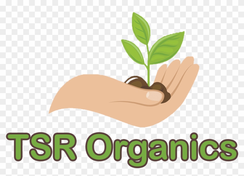 Logo - Illustration Clipart