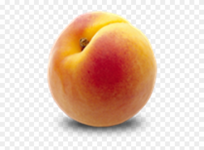 Melocoton - Peach Clipart