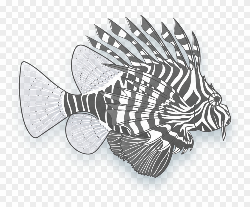 Image Of A Lionfish - Ray-finned Fish Clipart #5964082