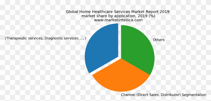 Global Home Healthcare Services Market Report - Circle Clipart #5964595