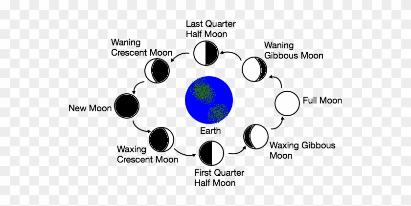 Earth And Space Science - Example Of Earth And Space Science Clipart