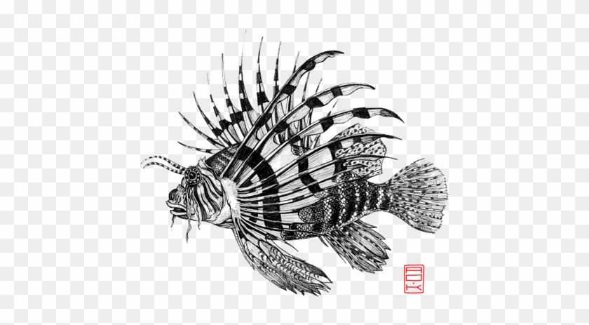 Bleed Area May Not Be Visible - Lionfish Drawing Clipart #5965082