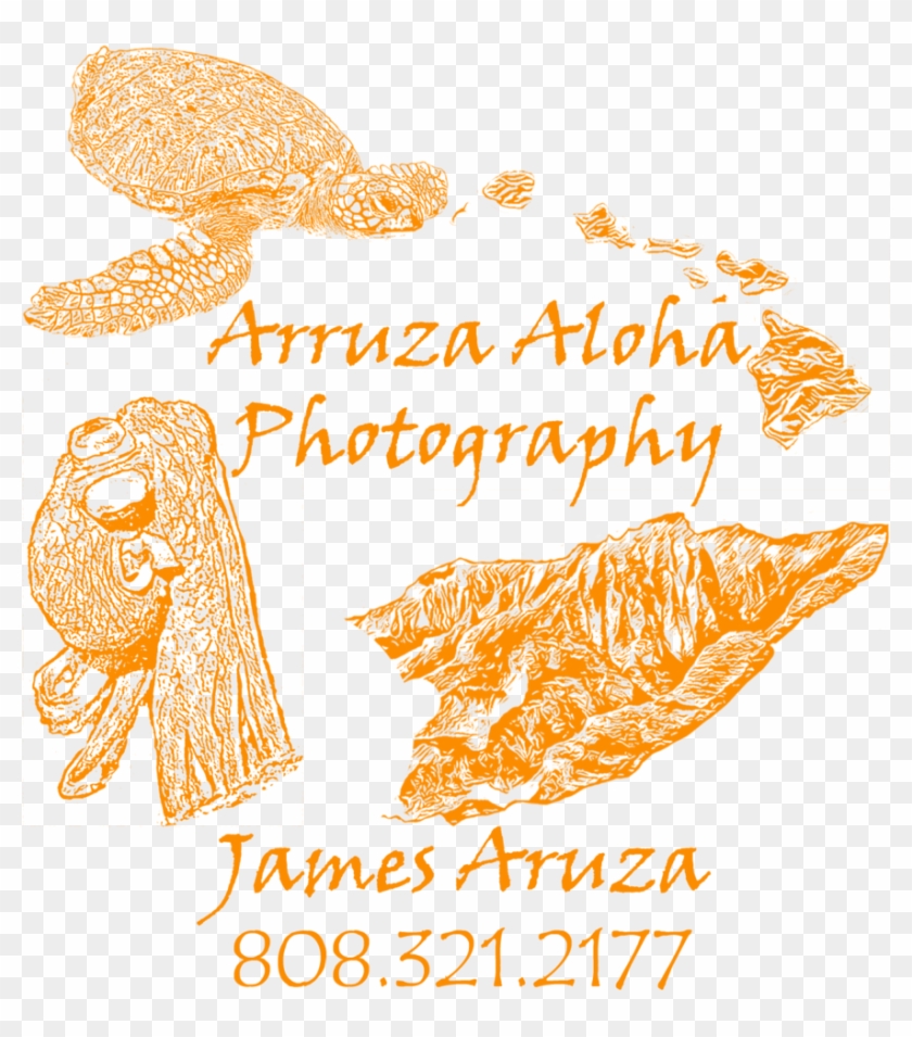 Arruzaalohaphotography - Illustration Clipart #5965122