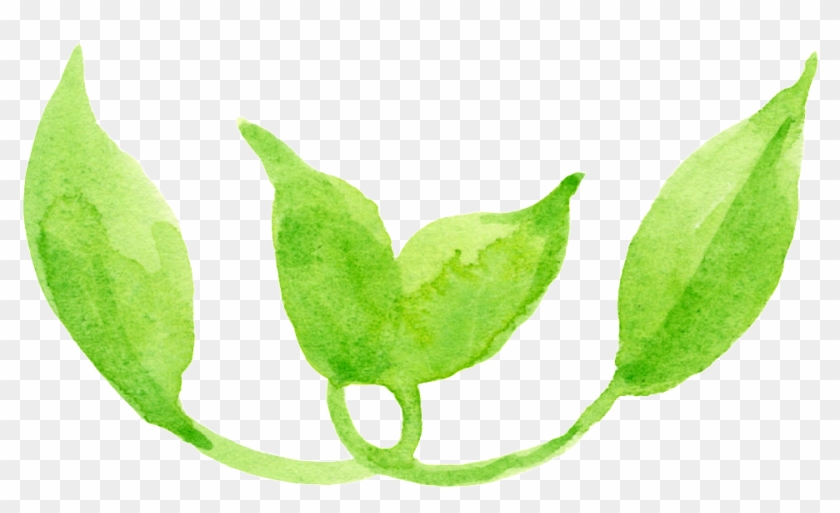 Dibujos Animados De Png Transparente Hoja De Serpentina - Maple Clipart