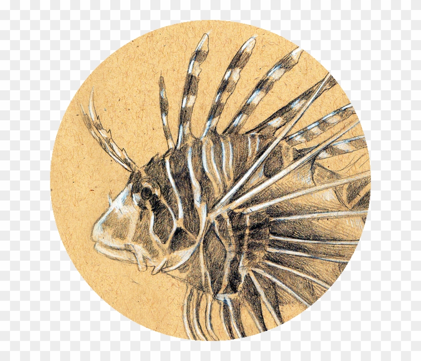 Pest Clipart #5966152