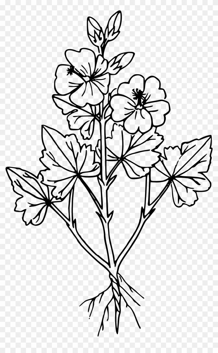 Globe Outline Png - Globe Mallow Drawing Clipart #5966519
