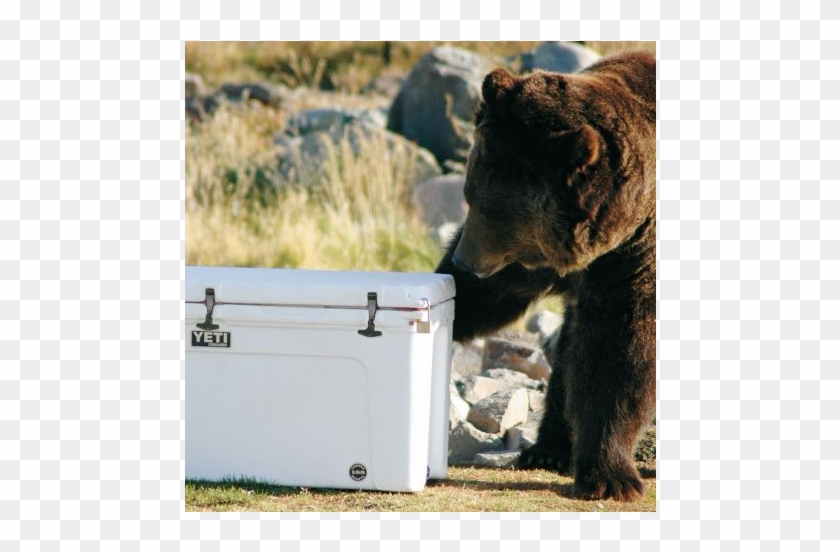 Our - Dog Catches Something Clipart