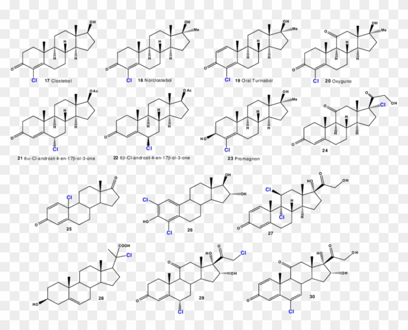 Bioactive Anabolic Chlorinated Steroids - Chlorinated Steroids Clipart