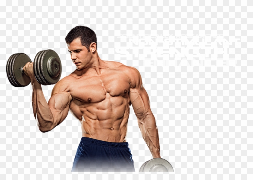 Anabolic Steroids Are Substances With An Action Similar - Portable Network Graphics Clipart #5970230