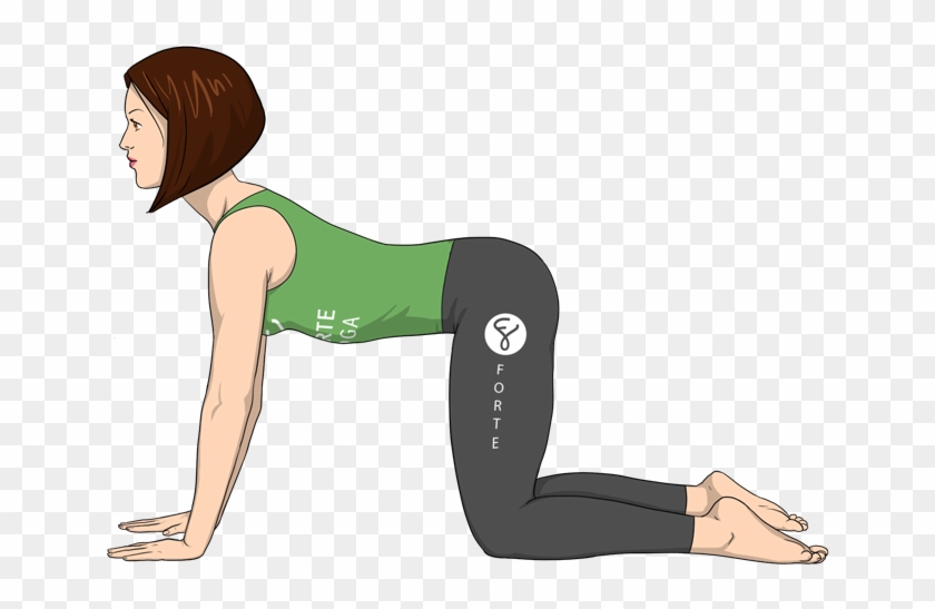 Cow Pose Forte Yoga Clipart