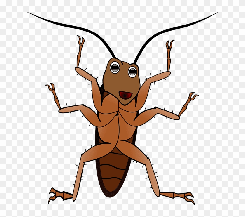 El Caso De La 'cucaracha Gigante' Que Vigilaba A Una - Png แมลงสาบ การ์ตูน Clipart