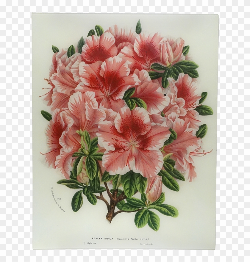 Bouquet Clipart #5972629