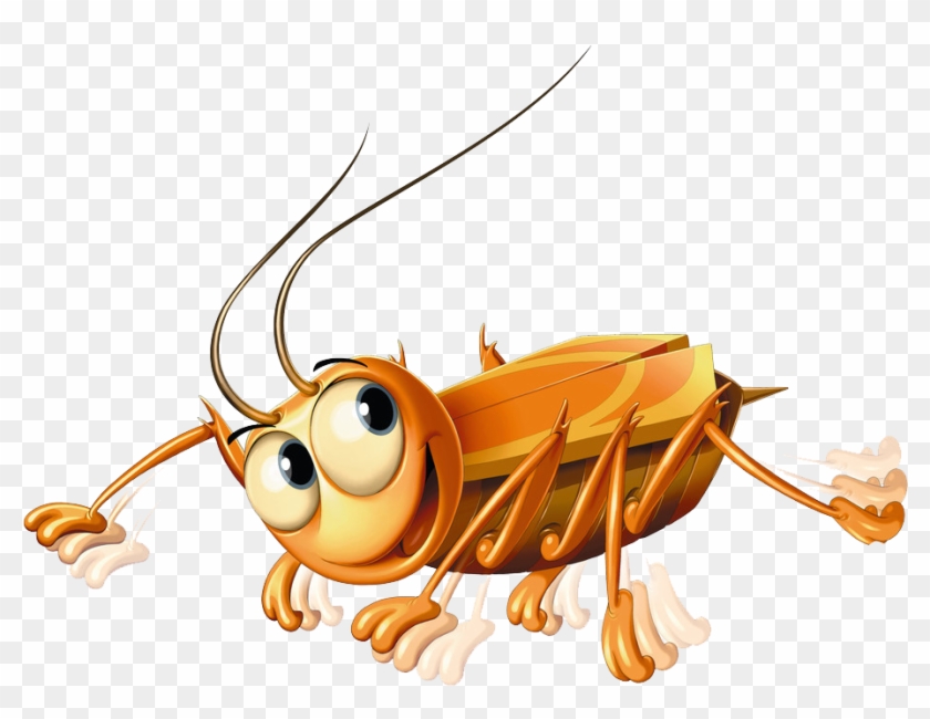 Juego De Mesa Ravensburger - La Cucaracha Clipart #5972659