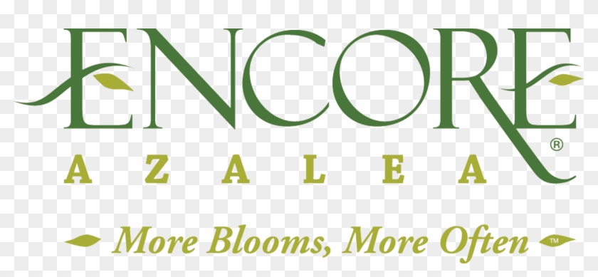 All Encore Azaleas Have Beautiful Flowers, I Have Always - Encore Azaleas Logo Clipart #5972953