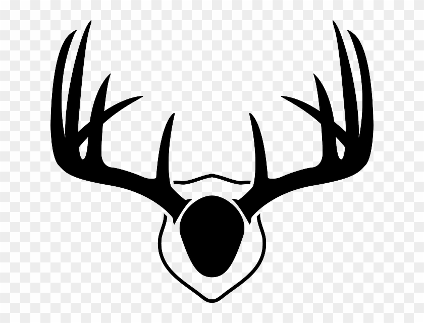 Stag Clipart Rusa - Deer Antlers Drawing - Png Download