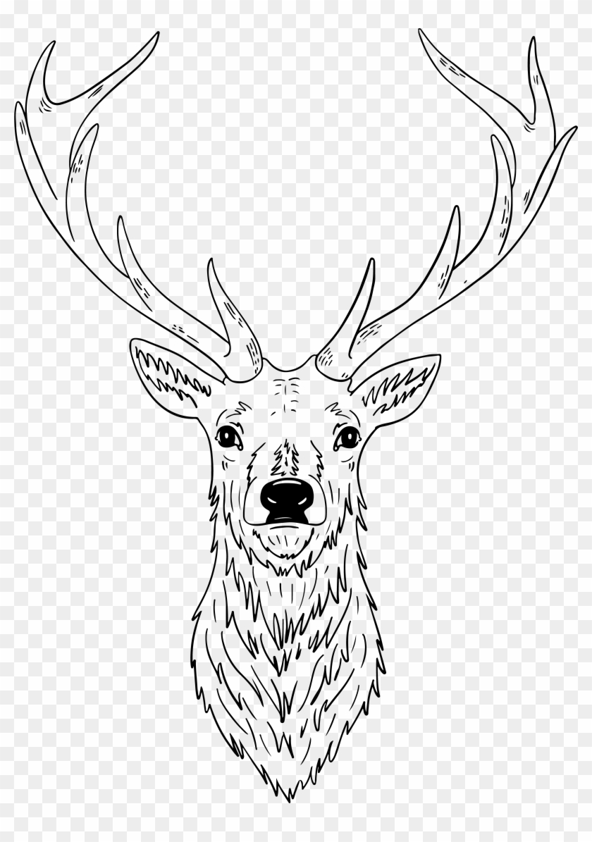 Sketch Clipart
