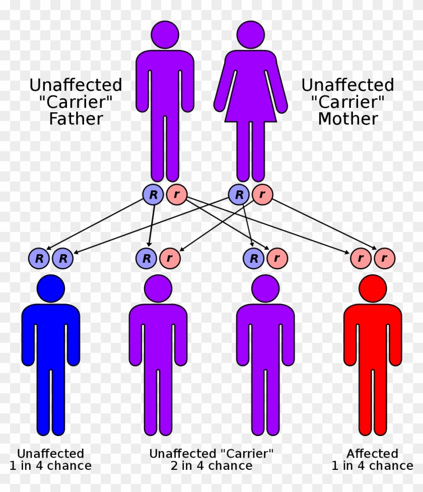 Cystic Fibrosis Clipart