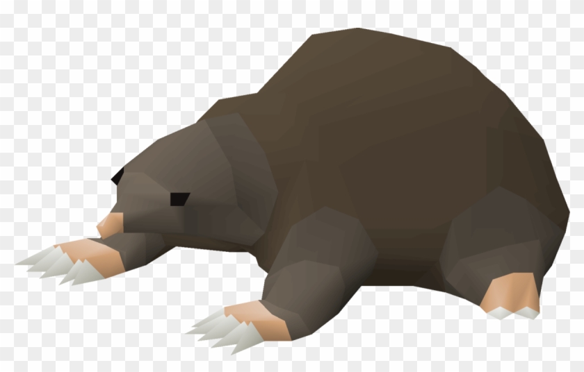 Grizzly Bear Clipart #5976587