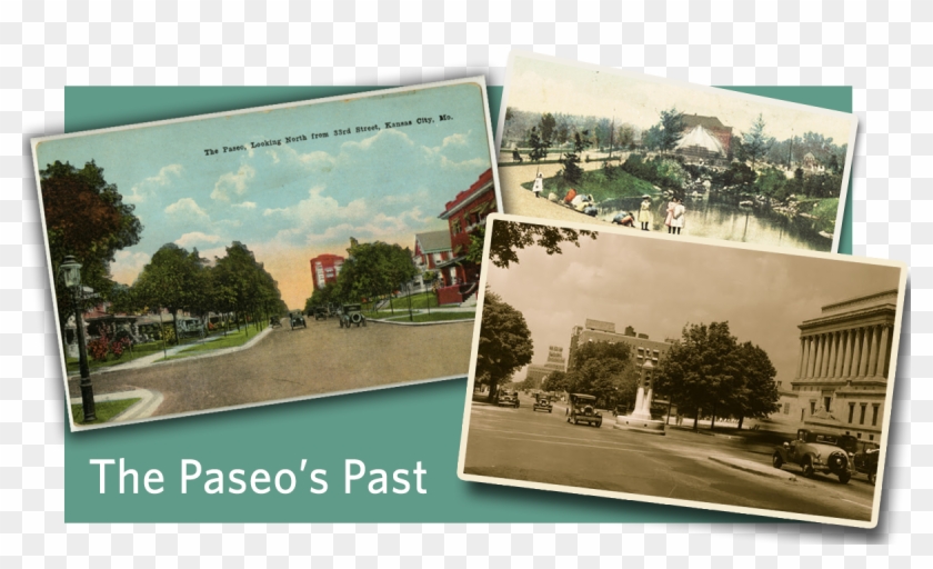 Tree Clipart #5979551