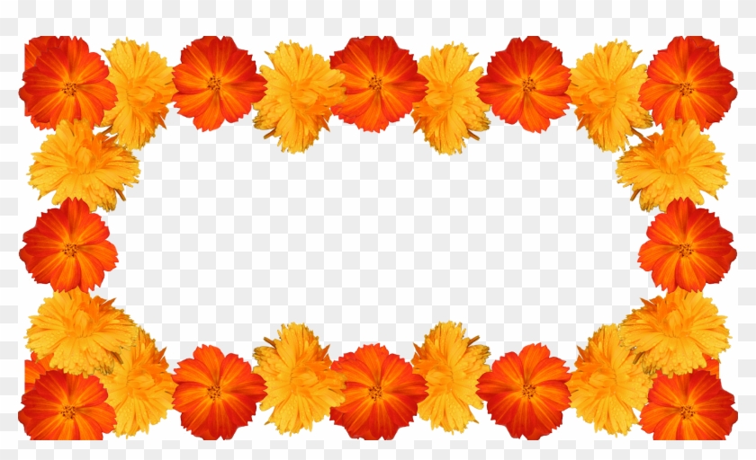 7 Moldura Flores Amarelas E Laranja Png - Flores Amarelas E Laranjas Clipart #5980382