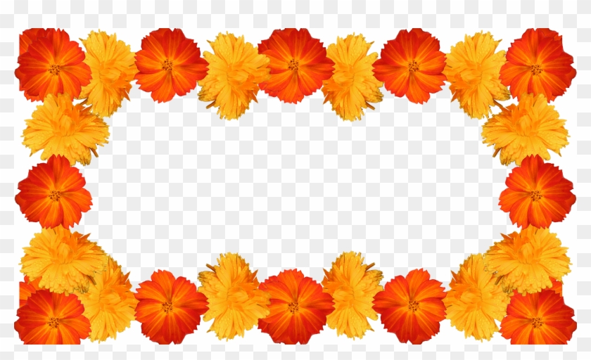 7 Moldura Flores Amarelas E Laranja Png - Flores Amarelas E Laranjas Clipart