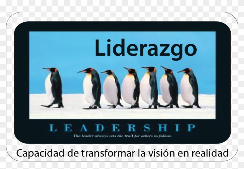 Sobre El Liderazgo - Leadership Penguins Clipart #5981275