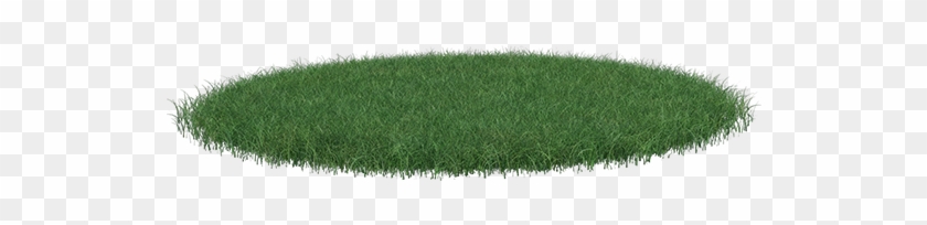 Lawn Clipart