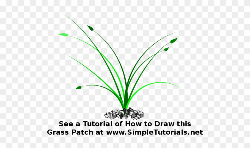 Grass Clipart #5981791