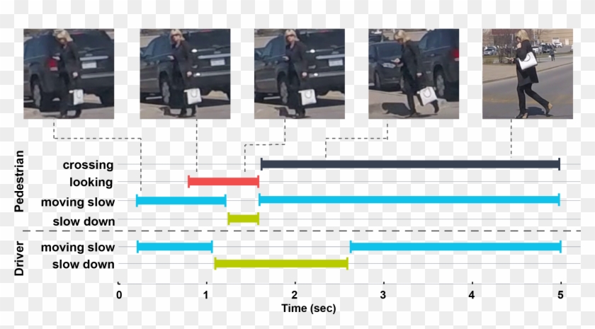 Timeline Of Events As The Pedestrian Is Crossing The - Pedestrian Data Clipart