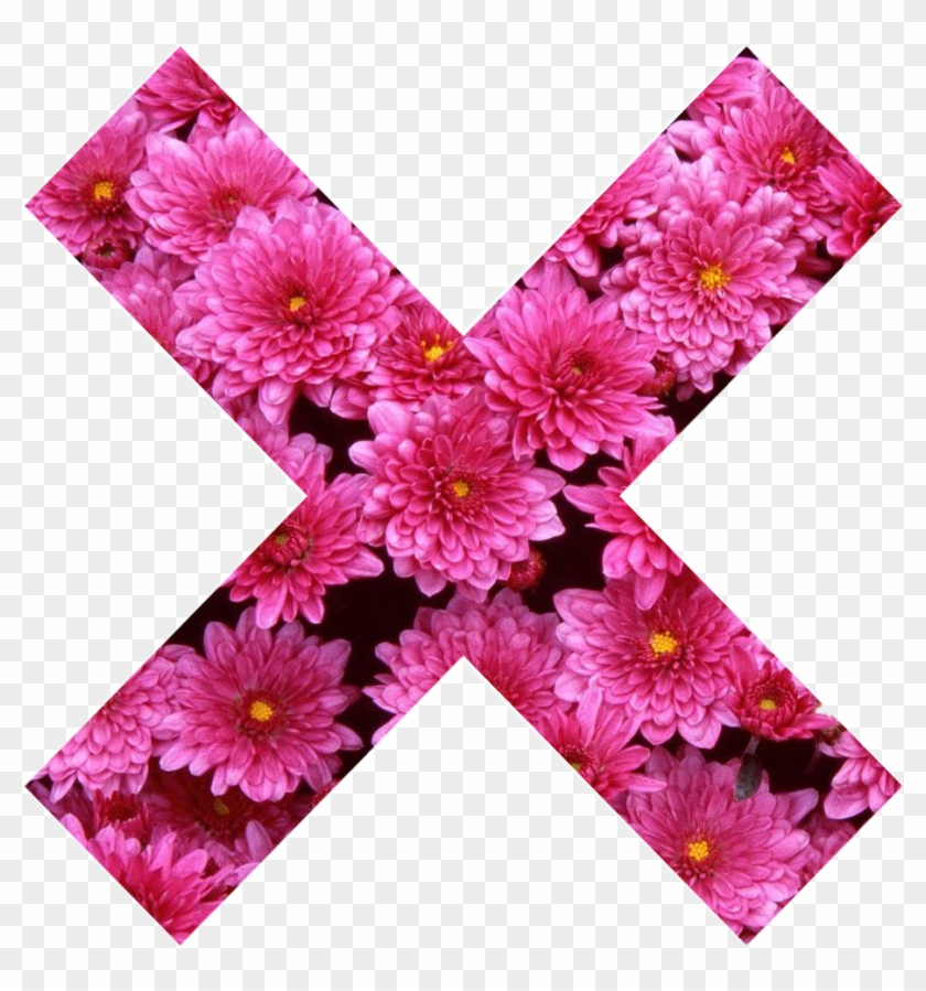X X Cross Flower Pink Girly Pink Nature Collor Tumblr - Flowers Clipart #5983056