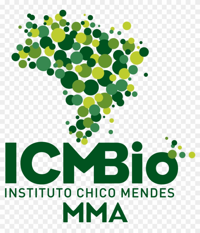 Logo Instagram Fundo Transparente - Instituto Chico Mendes Clipart