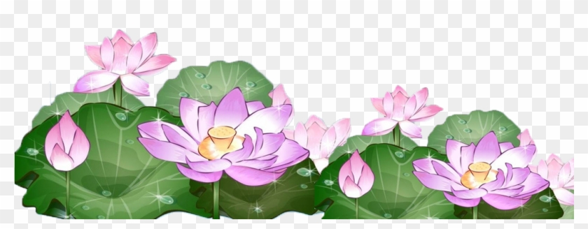 Lotus Clipart Hand Drawn - Lotus - Png Download