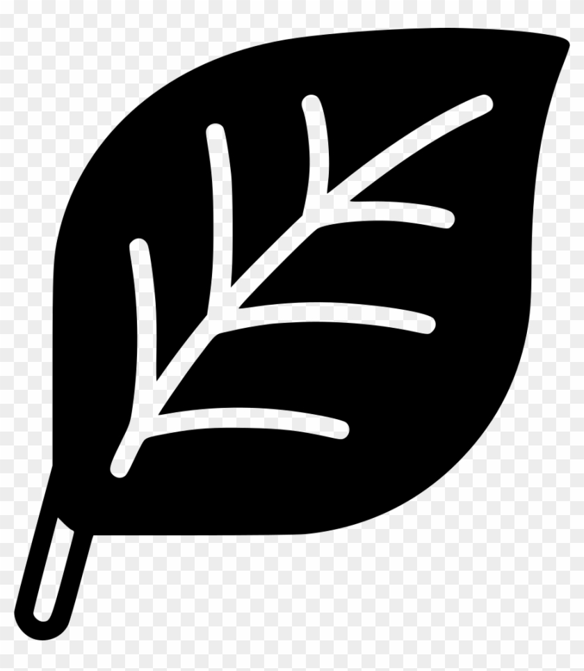 Png File Svg - Emblem Clipart #5993025