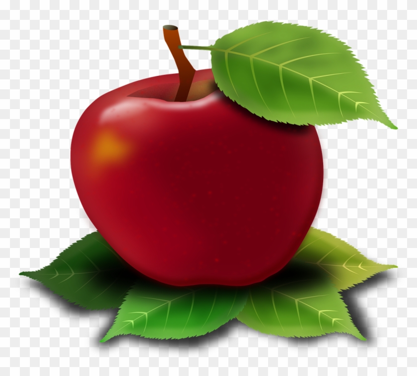 Gambar Ilustrasi Buah Buahan Clipart