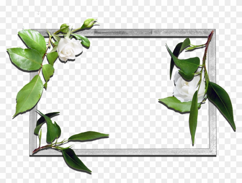 View Full Size - Flower Frames Clipart