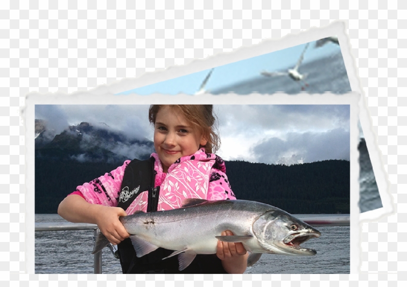 Photos In Our Album Showcase Our Anglers Experiencing - Pull Fish Out Of Water Clipart #5993355