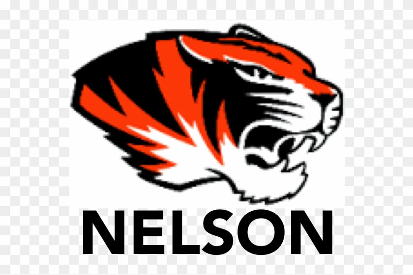 19 May 2016 - Missouri Tigers Clipart