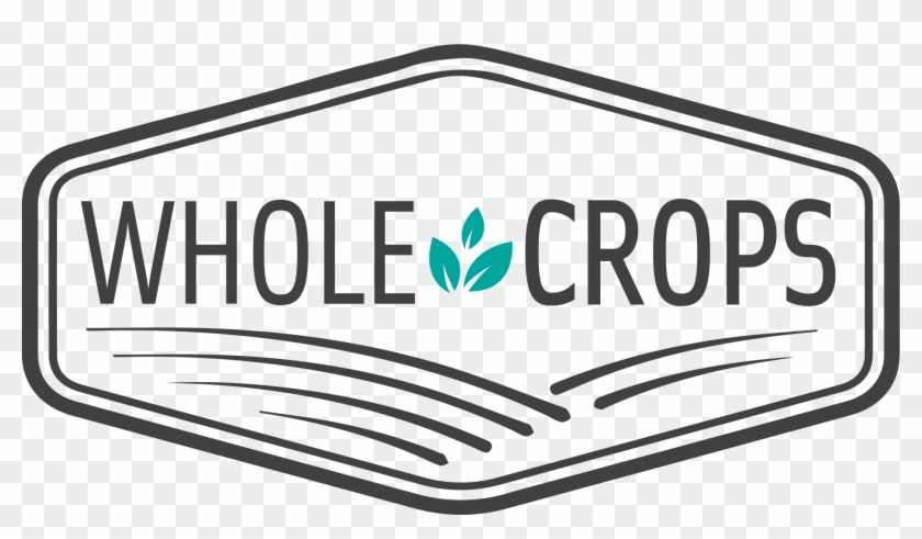 Clip Art - Png Download #5994330