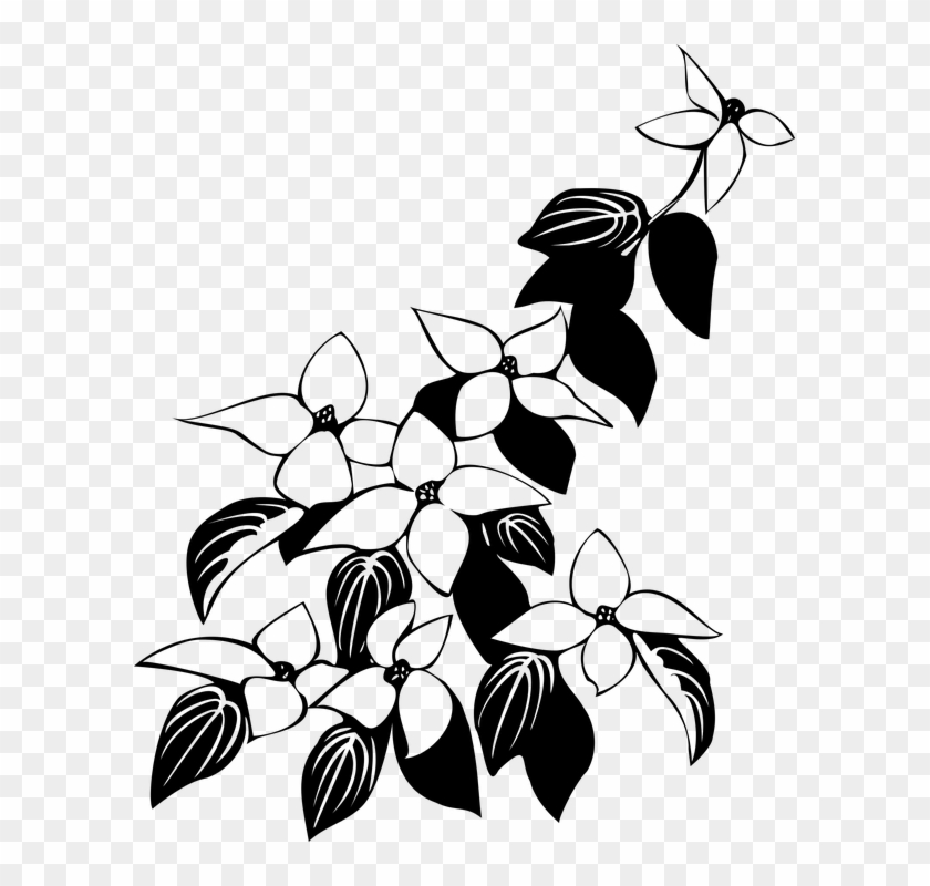 Ecological Floral Flowers Leaf Leaves Nature - Leaves Png Black And White Clipart