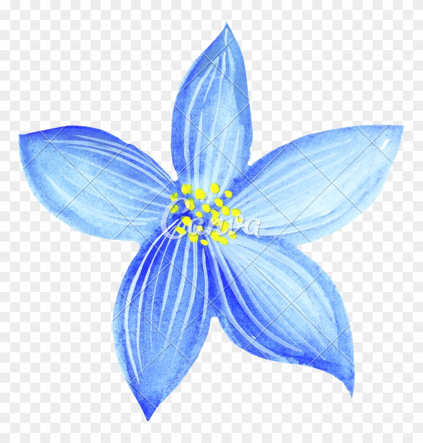 Hand Of Blue Flowers Photos By Canva - Water Color Pencil Flowers Clipart #5996105