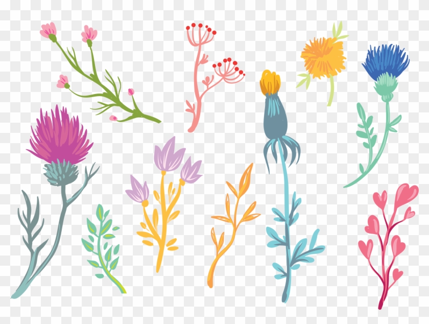 小清新风花草 - Field Marigold Clipart