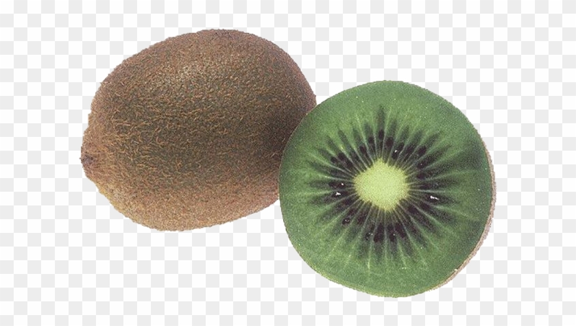Report Abuse - Kiwi Clip Art - Png Download #5997807