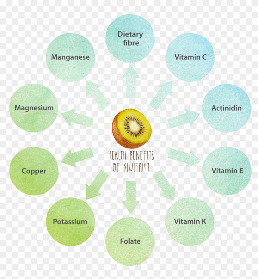 1 - - Circle Clipart