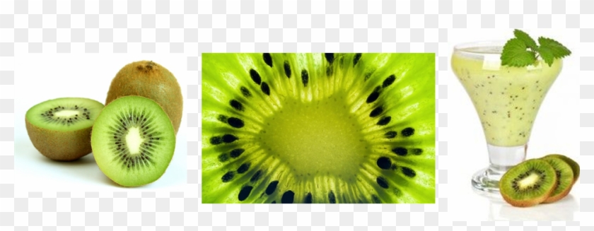 K Is For Kiwifruit 03 - Kiwifruit Clipart