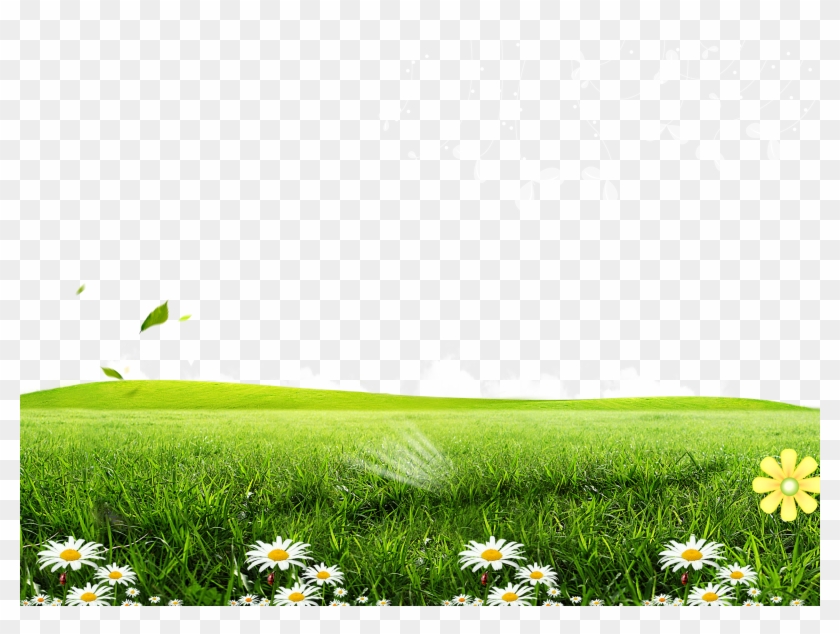 Green Lawn Poster Wallpaper Posters Flowers Transprent - Green Grass Background Png Clipart #5998864