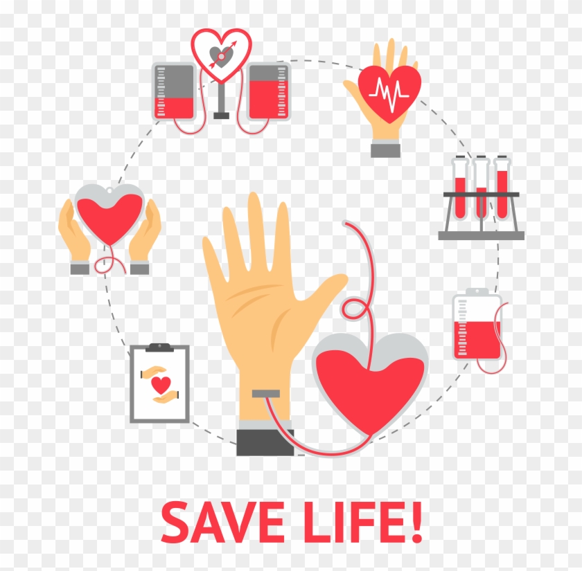 Human Bones - Illustration Clipart #5999726