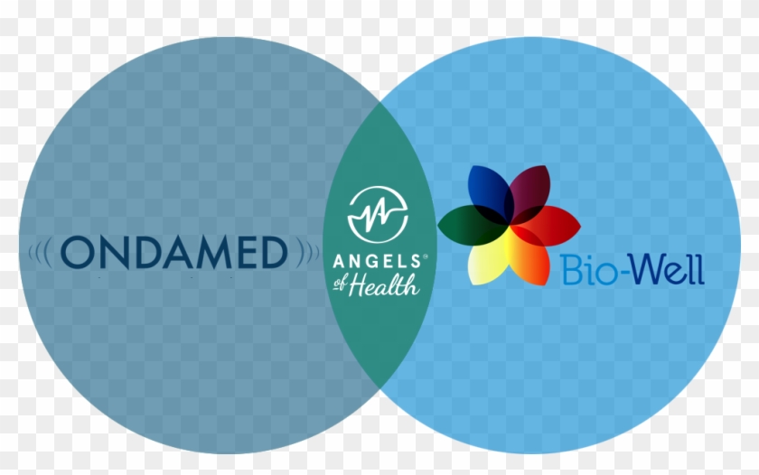 Circle Clipart #5999918